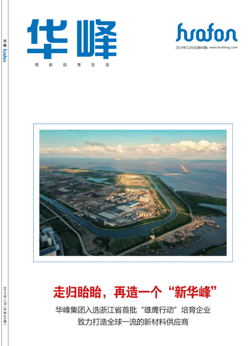华峰集团官方网站建设